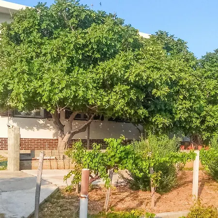 Appartamento Cozy In With House Sea View